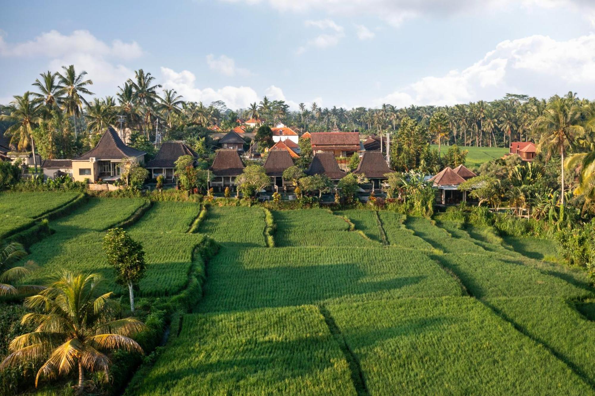 Wooden Ganeca Villas By Pramana Villas Ubud Dış mekan fotoğraf